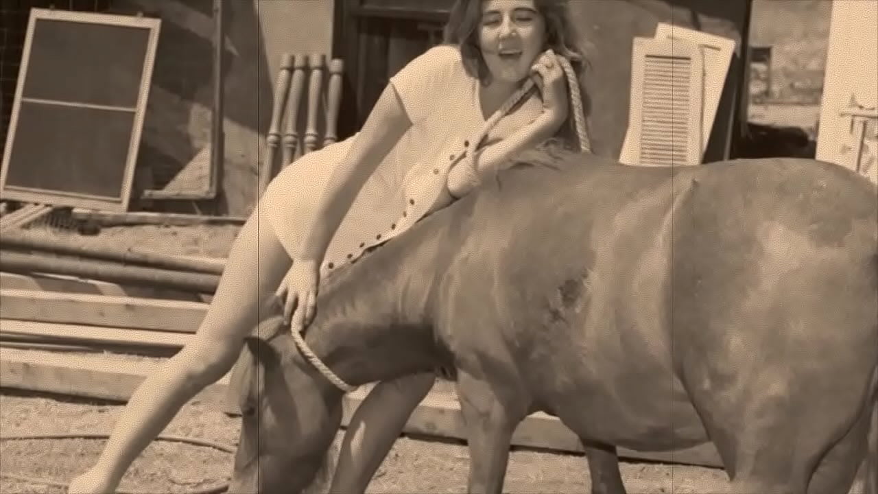 Vintage-Tabu-Muschi und Hündchen